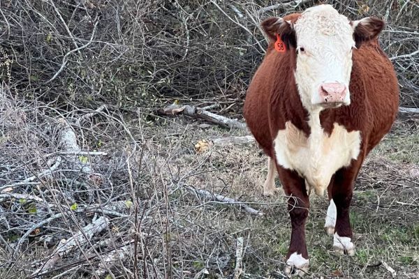 photo-2023-03-07-23-24-46-26AE491B1-E51A-8169-1872-71A22AD9A0F7.jpg